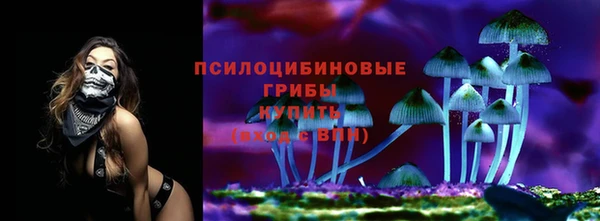 гашиш Вяземский